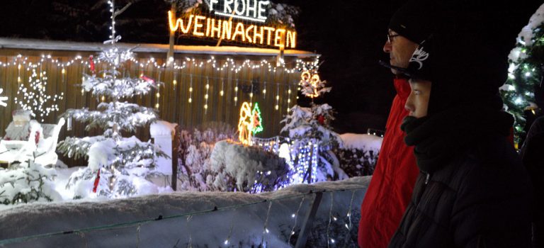 Weihnachtsausflug Kronegg 2017